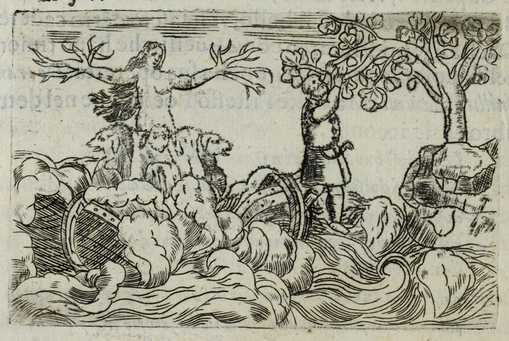 An illustration from I pomi d'oro / di Gio. Francesco Angelita, Roco Accademico Disuguale ; doue si contengono due lettioni, de' fichi l'vna, e de' melloni l'altra ; nelle quali non solo si scorgono le lor lodi, e le loro eccellenze, ma si scoprono molti segreti per vsarli, e per cultiuarli ; e si notano molti errori di diuersi grand'huomini intorno al loro sentimento ; aggiuntavi vna lettione della lvmaca doue si pruoua, ch'ella sia maestra della vita human .., 1607, leaf 78