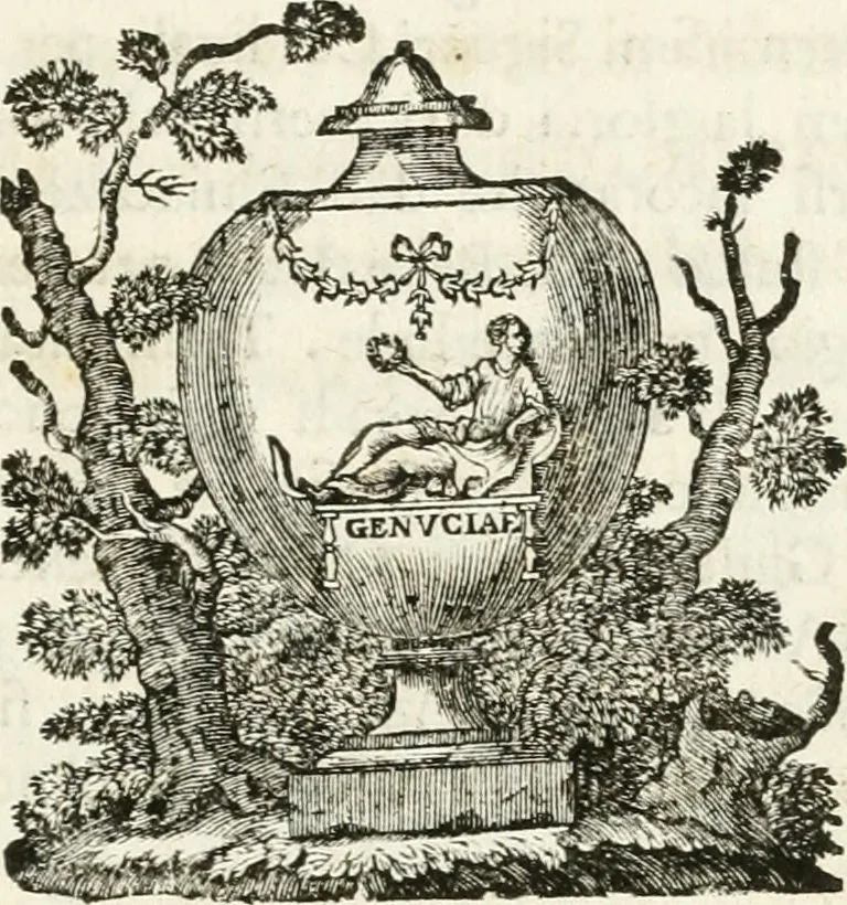 An illustration from I pregj delle belle arti : orazione e componimenti poetici detti in Campidoglio in occasione della festa del Concorso ai premj, celebrata dall'insigne Accademia del disegno di S. Luca : essendo principe di essa il signor Mauro Fontana, l'anno MDCCLXII alla santità di N. Signore Clemente XIII. P.M, 1762, leaf 42