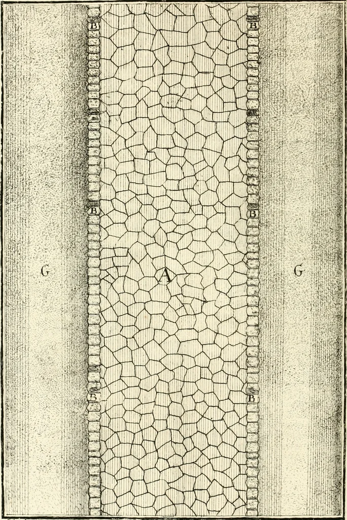 An illustration from I quattro libri dell'architettura di Andrea Palladio : ne quali dopo un breve trattato de' cinque ordini, e di quelli avvertimenti, che sono più necessarj nel fabbricare : si tratta delle case private, delle vie, dei ponti, delle piazze, dei xisti, e dei tempj, 1790, leaf 263