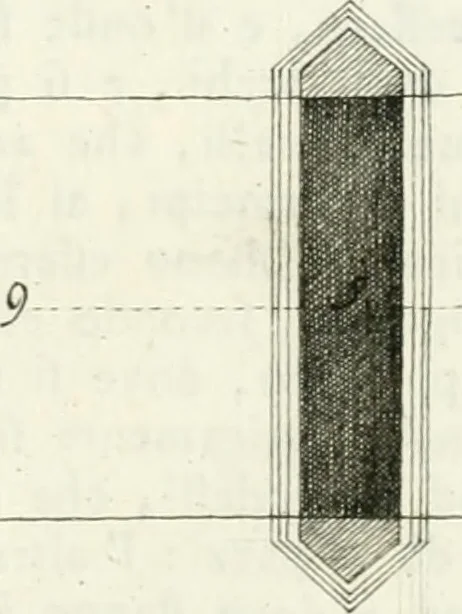 An illustration from I quattro libri dell'architettura di Andrea Palladio : ne quali dopo un breve trattato de' cinque ordini, e di quelli avvertimenti, che sono più necessarj nel fabbricare : si tratta delle case private, delle vie, dei ponti, delle piazze, dei xisti, e dei tempj, 1790, leaf 290