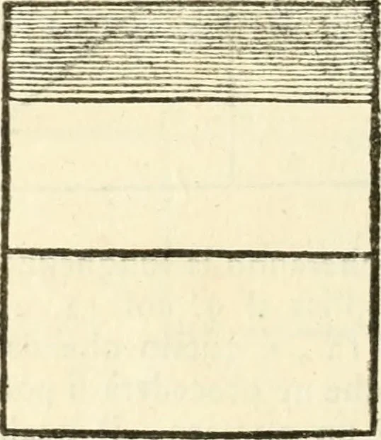 An illustration from I quattro libri dell'architettura di Andrea Palladio : ne quali dopo un breve trattato de' cinque ordini, e di quelli avvertimenti, che sono più necessarj nel fabbricare : si tratta delle case private, delle vie, dei ponti, delle piazze, dei xisti, e dei tempj, 1790, leaf 79