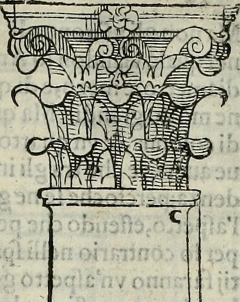 An illustration from I quattro libri dell'architettura di Andrea Palladio., 1581, leaf 14