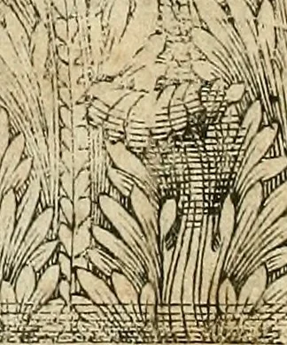 An illustration from I quattro libri dell'architettura di Andrea Palladio., 1581, leaf 207