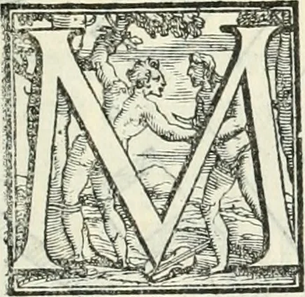 An illustration from I quattro primi libri di architettura di Pietro Cataneo senese .., 1554, leaf 28