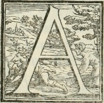 An illustration from I quattro primi libri di architettura di Pietro Cataneo senese .., 1554, leaf 45