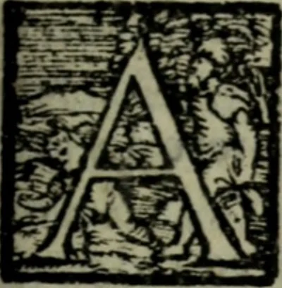 An illustration from I qvattro libri delle osservationi, 1562, leaf 10