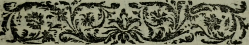 An illustration from I qvattro libri delle osservationi, 1562, leaf 128