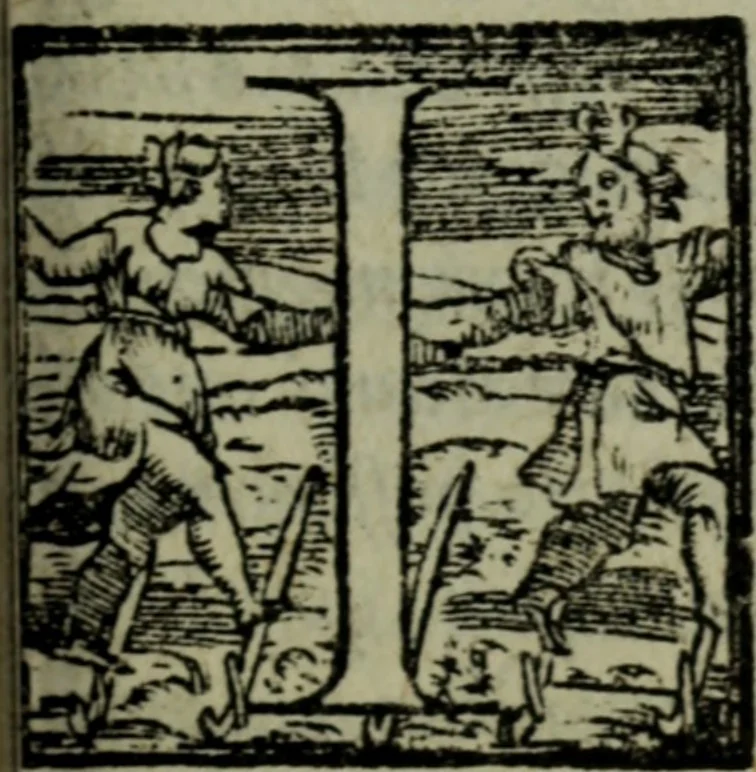 An illustration from I qvattro libri delle osservationi, 1562, leaf 14