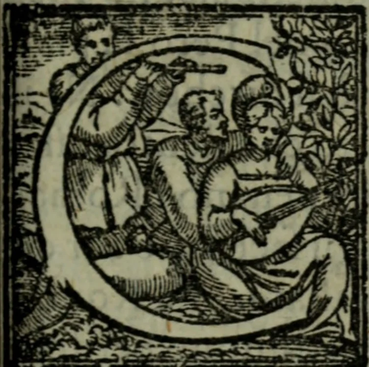An illustration from I qvattro libri delle osservationi, 1562, leaf 18