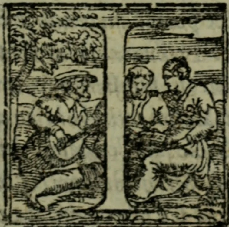 An illustration from I qvattro libri delle osservationi, 1562, leaf 188