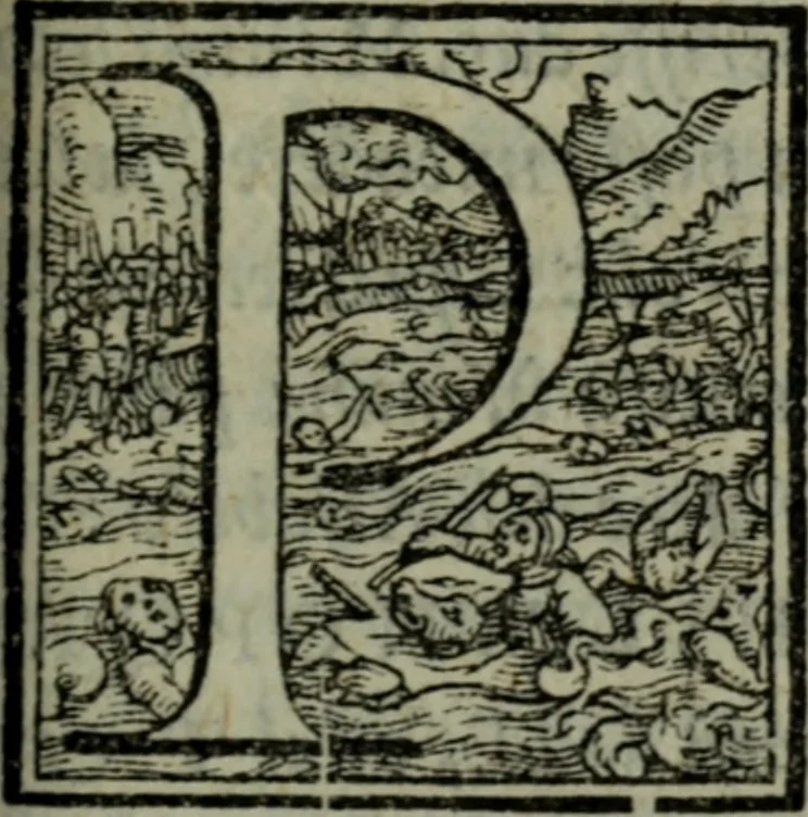 An illustration from I qvattro libri delle osservationi, 1562, leaf 26