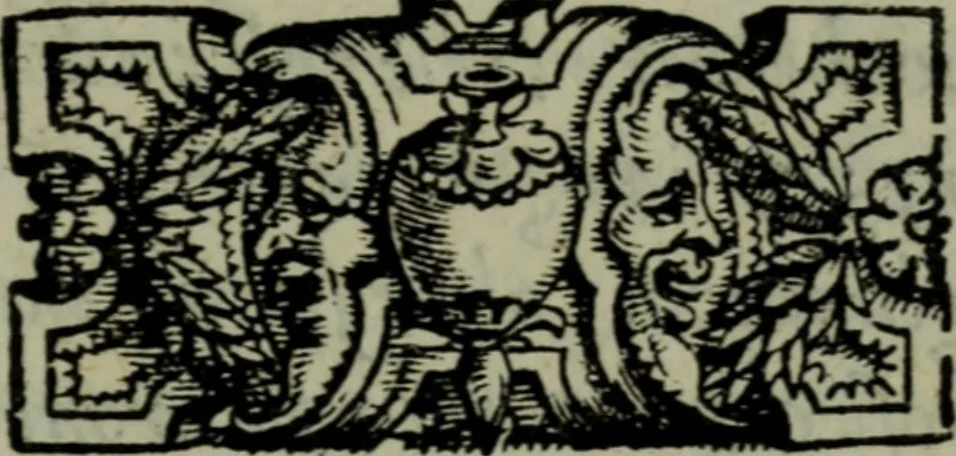 An illustration from I qvattro libri delle osservationi, 1562, leaf 4