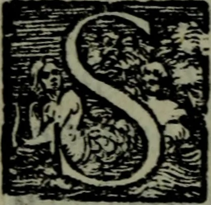 An illustration from I qvattro libri delle osservationi, 1562, leaf 7