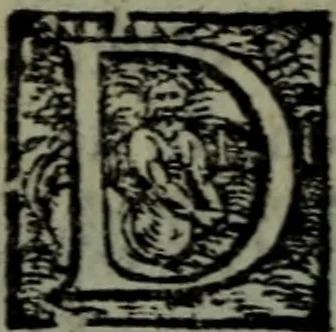 An illustration from I qvattro libri delle osservationi, 1562, leaf 9