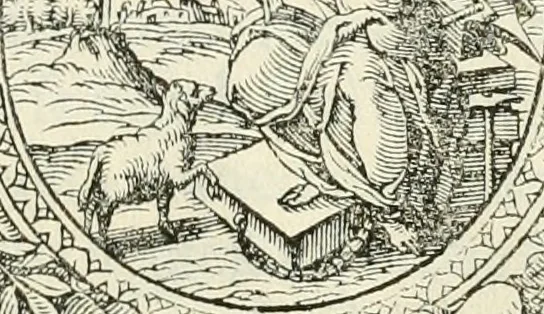 An illustration from I qvattro libri dell'architettvra, 1601, leaf 154