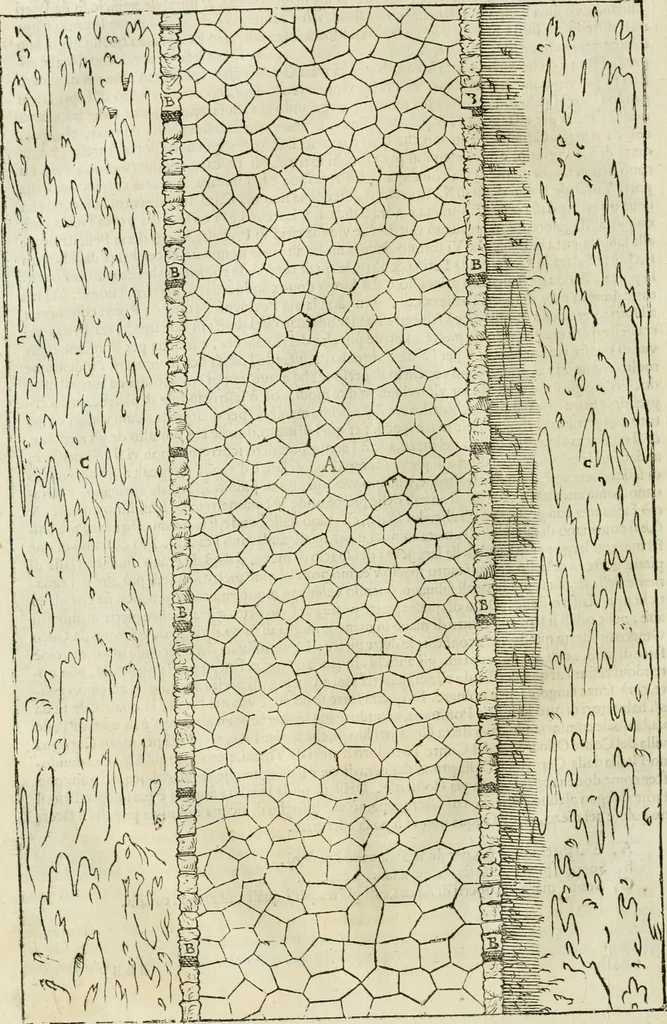 An illustration from I qvattro libri dell'architettvra, 1601, leaf 163