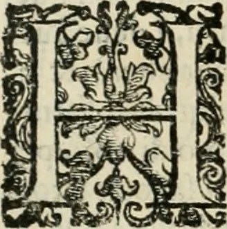 An illustration from I qvattro libri dell'architettvra, 1601, leaf 165