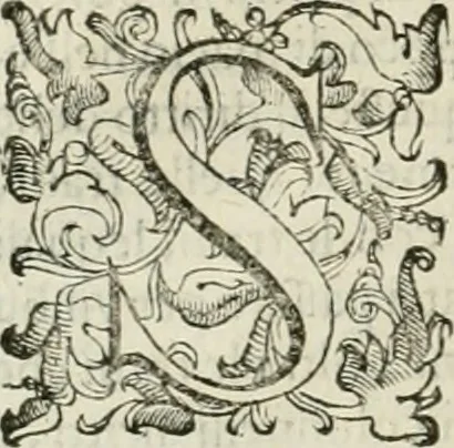 An illustration from I qvattro libri dell'architettvra, 1601, leaf 169