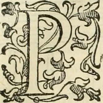 An illustration from I qvattro libri dell'architettvra, 1601, leaf 172