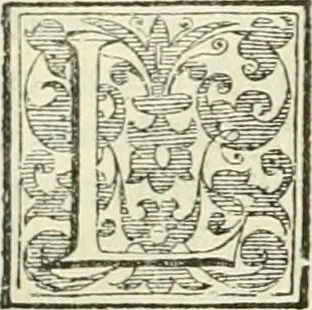 An illustration from I qvattro libri dell'architettvra, 1601, leaf 20