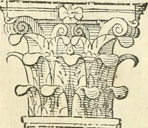 An illustration from I qvattro libri dell'architettvra, 1601, leaf 20