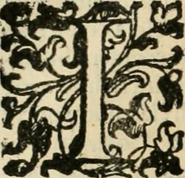 An illustration from I qvattro libri dell'architettvra, 1601, leaf 207
