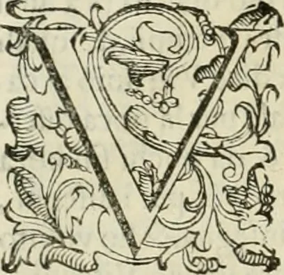 An illustration from I qvattro libri dell'architettvra, 1601, leaf 209