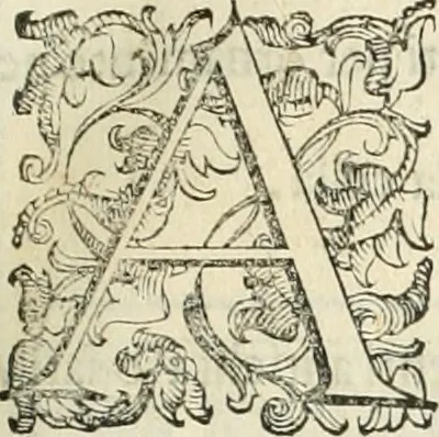 An illustration from I qvattro libri dell'architettvra, 1601, leaf 216