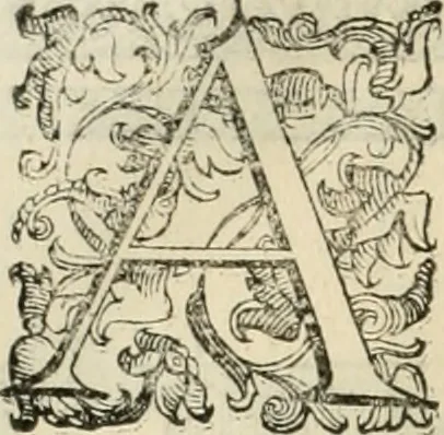 An illustration from I qvattro libri dell'architettvra, 1601, leaf 249