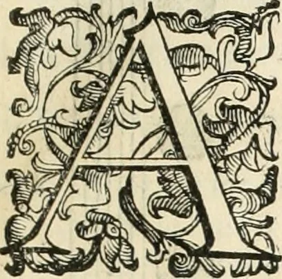 An illustration from I qvattro libri dell'architettvra, 1601, leaf 256