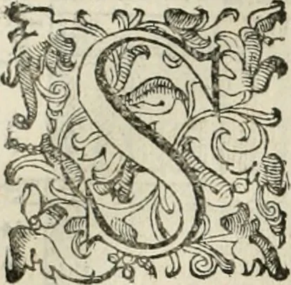 An illustration from I qvattro libri dell'architettvra, 1601, leaf 271