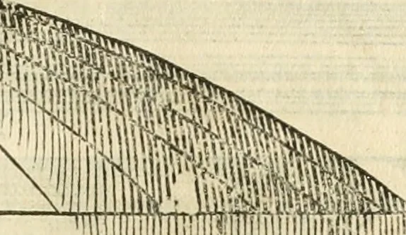 An illustration from I qvattro libri dell'architettvra, 1601, leaf 278