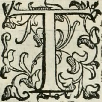 An illustration from I qvattro libri dell'architettvra, 1601, leaf 299