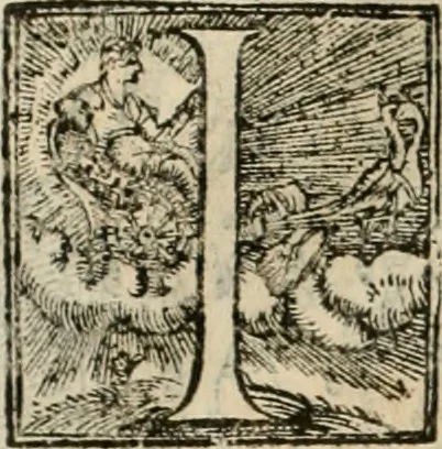 An illustration from I qvattro libri dell'architettvra, 1601, leaf 319
