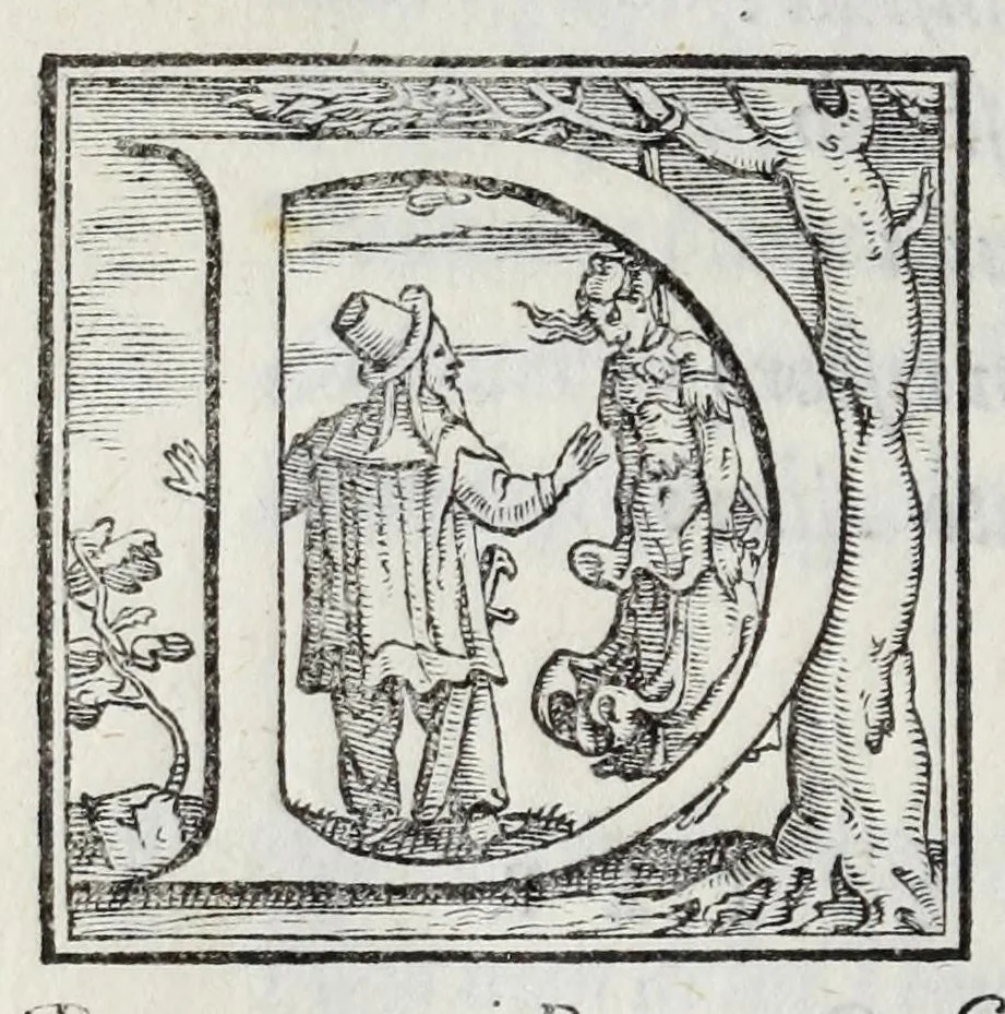 An illustration from I qvattro libri della caccia, 1556, leaf 132