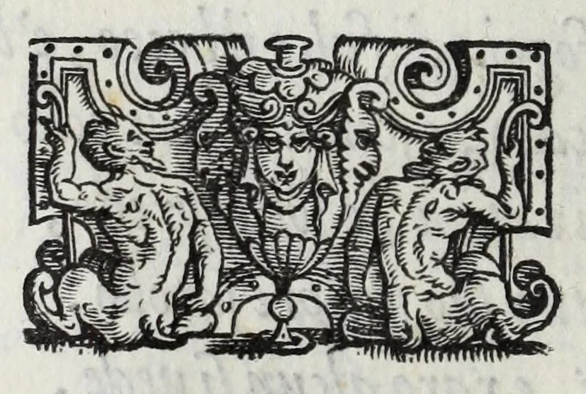 An illustration from I qvattro libri della caccia, 1556, leaf 138