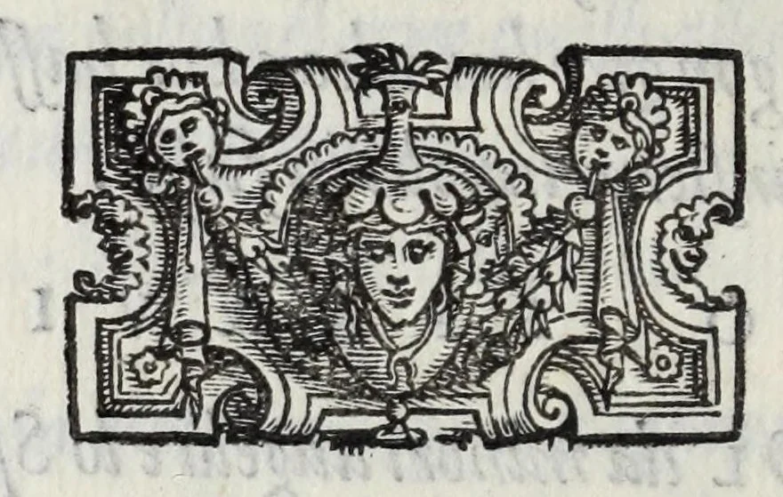 An illustration from I qvattro libri della caccia, 1556, leaf 168