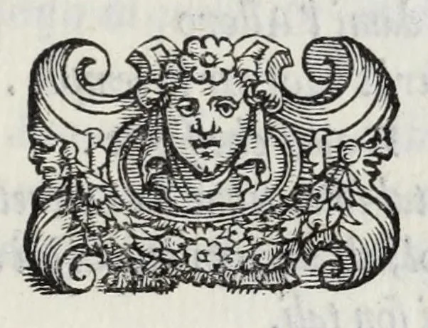 An illustration from I qvattro libri della caccia, 1556, leaf 169