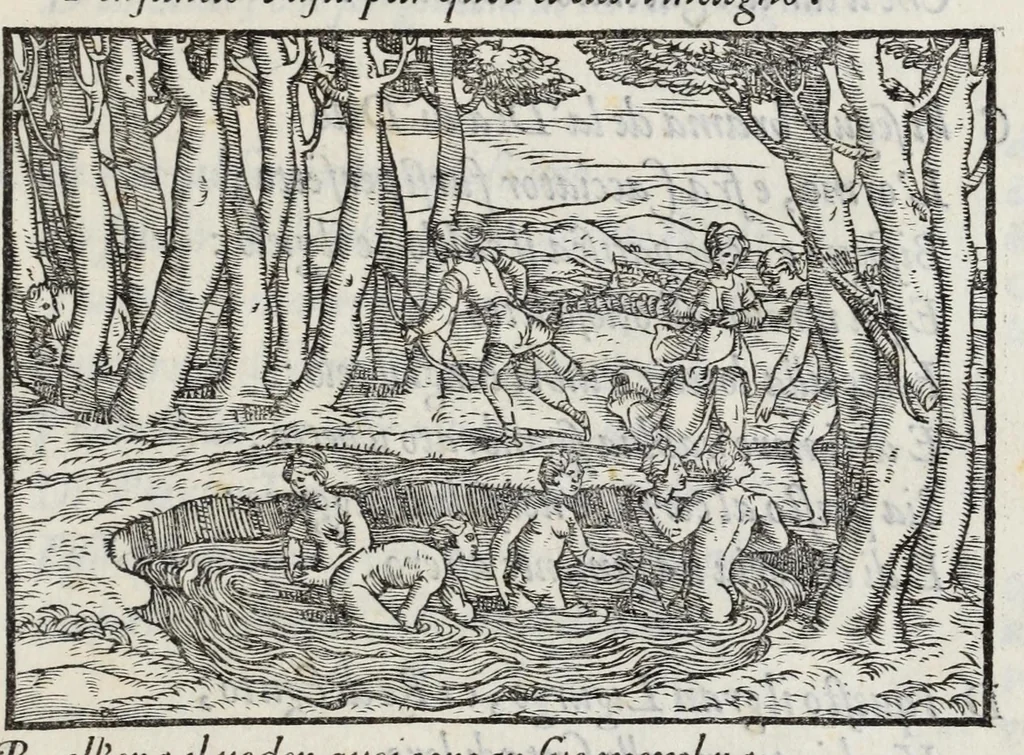 An illustration from I qvattro libri della caccia, 1556, leaf 19