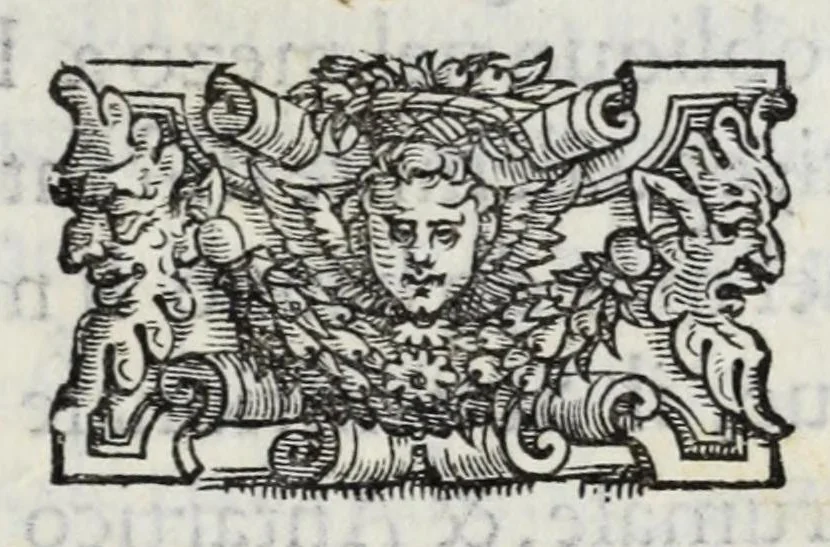 An illustration from I qvattro libri della caccia, 1556, leaf 193