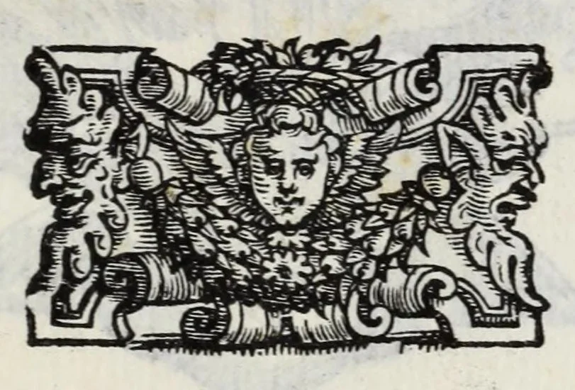 An illustration from I qvattro libri della caccia, 1556, leaf 213