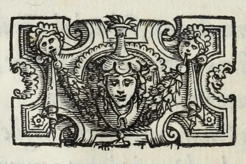 An illustration from I qvattro libri della caccia, 1556, leaf 26