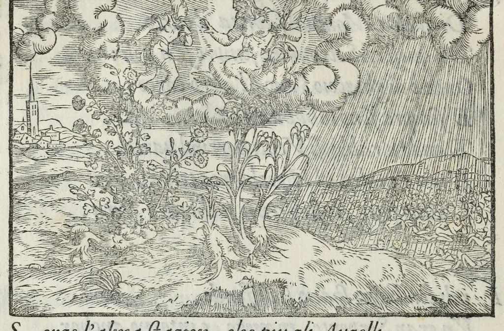 An illustration from I qvattro libri della caccia, 1556, leaf 30