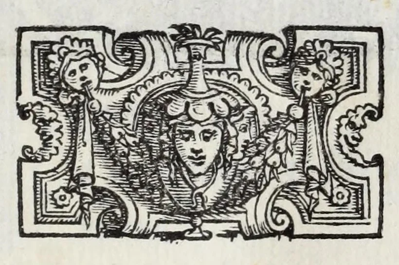 An illustration from I qvattro libri della caccia, 1556, leaf 45
