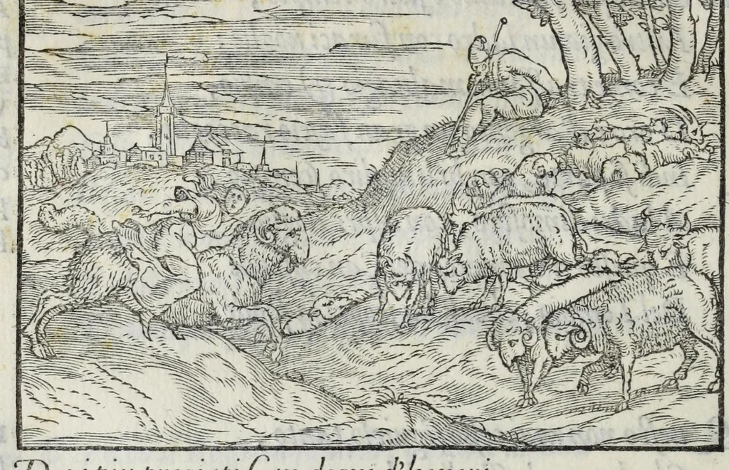 An illustration from I qvattro libri della caccia, 1556, leaf 66