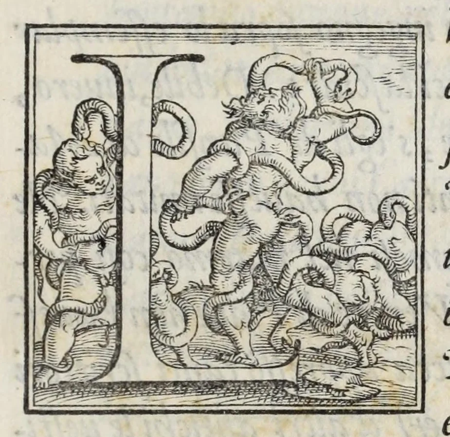 An illustration from I qvattro libri della caccia, 1556, leaf 7