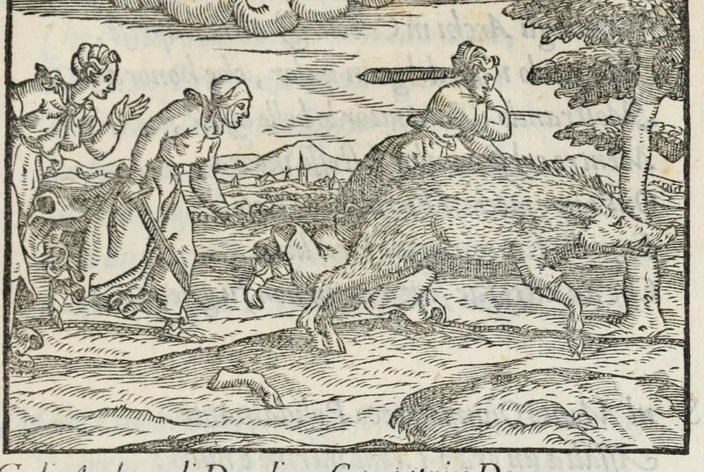 An illustration from I qvattro libri della caccia, 1556, leaf 77