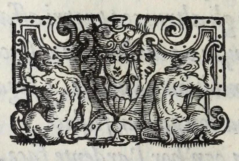 An illustration from I qvattro libri della caccia, 1556, leaf 82