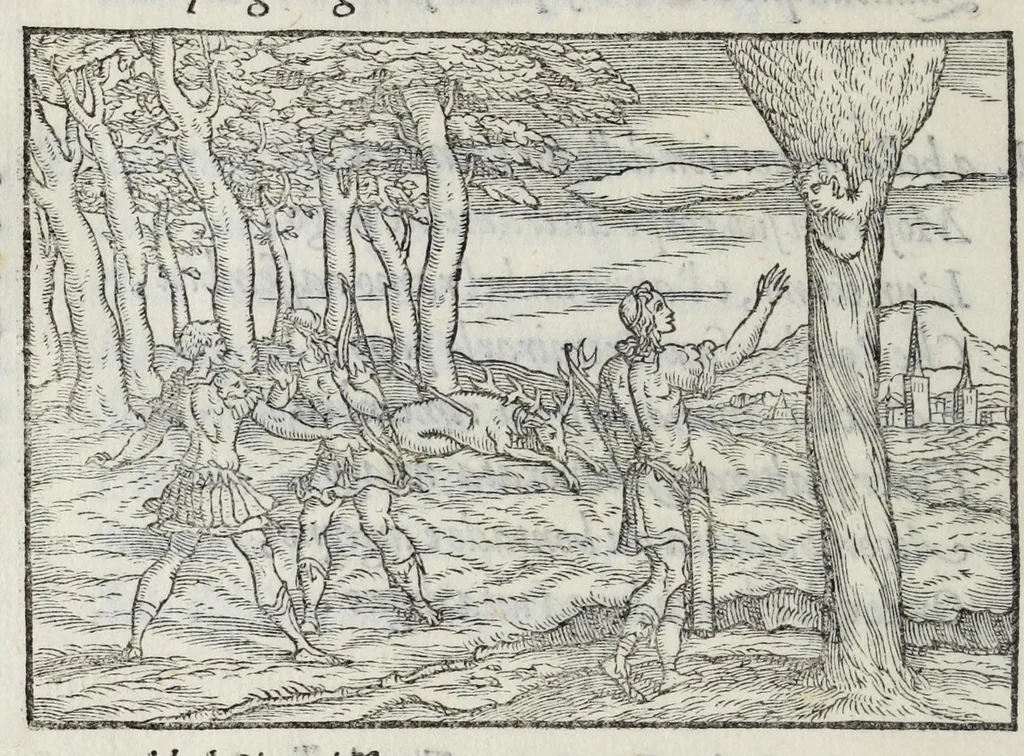 An illustration from I qvattro libri della caccia, 1556, leaf 98
