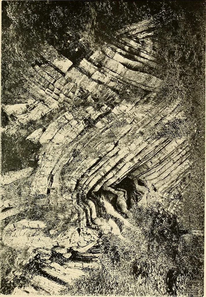 An illustration from Ireland: industrial and agricultural, 1902, leaf 26